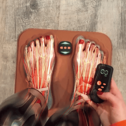 WohlErbe NeuroRom